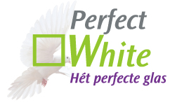 Logo Perfect White 